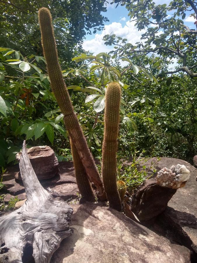 Pousada Paraiso Dos Pireneus Pirenópolis Exteriér fotografie