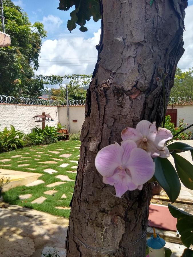 Pousada Paraiso Dos Pireneus Pirenópolis Exteriér fotografie